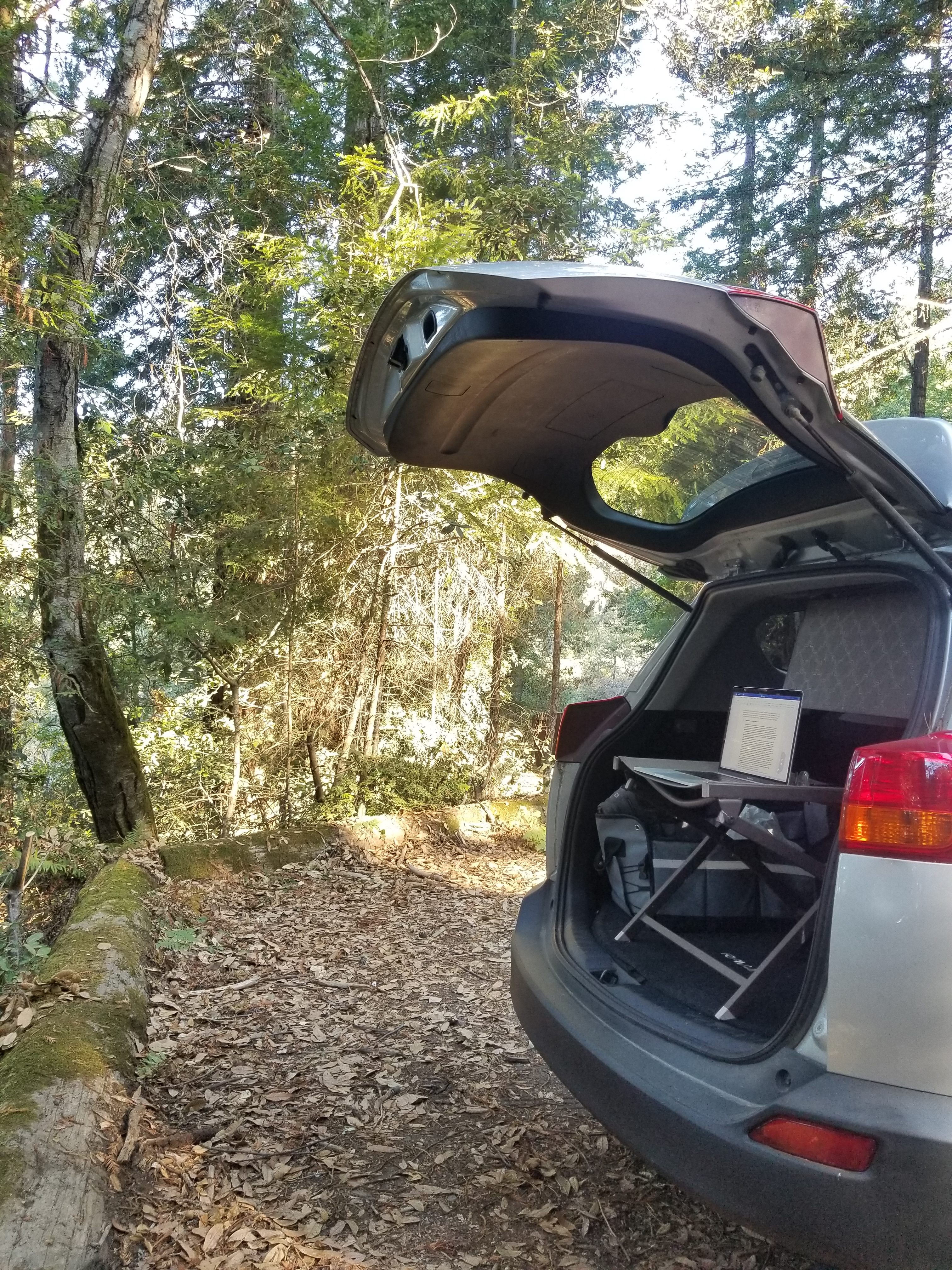 My RAV4, with the tailgate open and my MacBook on an impromptu desk.